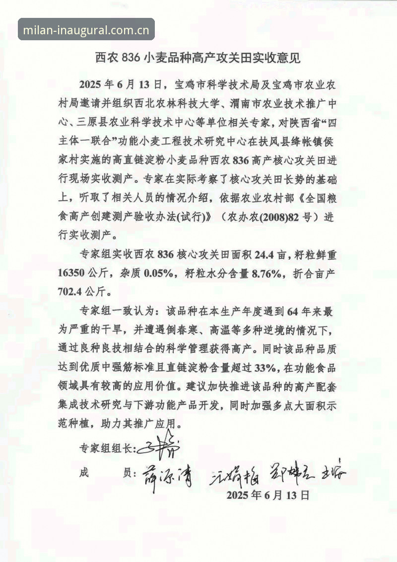白标原版好用吗2026最新版本 揭秘白标原版2026最新版本:老用户林涛的CN赛事数据实测报告